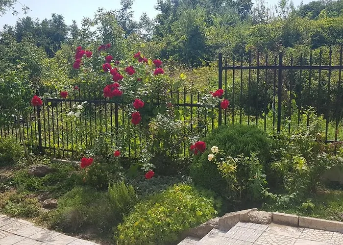 Harmony Hills Kolevi * רוגאצ'בו