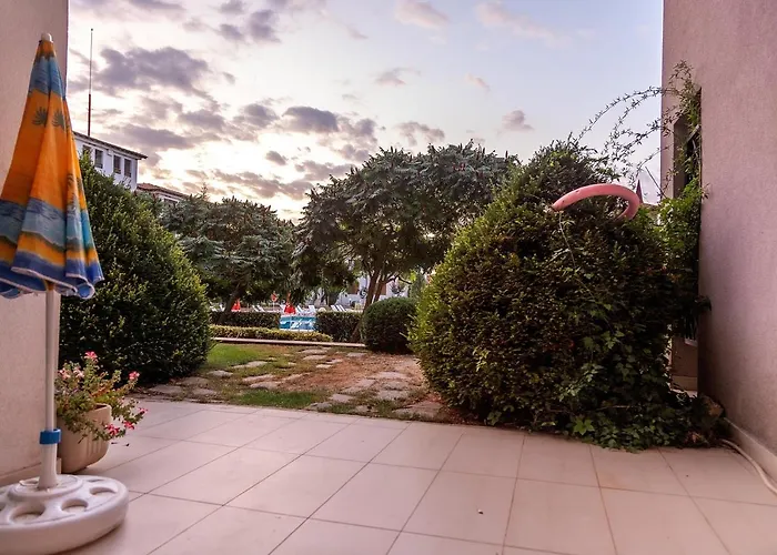 Harmony Hills Kolevi רוגאצ'בו